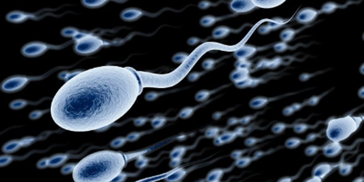 Остановить хвосты: теперь есть альтернатива презервативам и вазэктомии