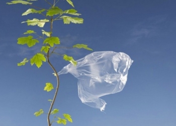 В Киеве открывают сеть киосков по приему полиэтиленовых пакетов в утиль