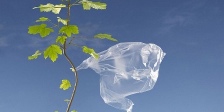 В Киеве открывают сеть киосков по приему полиэтиленовых пакетов в утиль