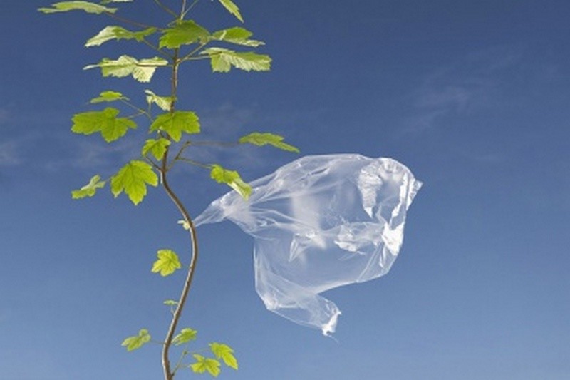 За рік українці скоротили використання пластикових пакетів на 40-90%