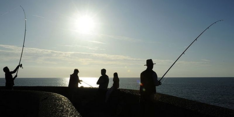 Спортивная рыбалка может стать Олимпийским видом спорта на Играх в Токио в 2020 году