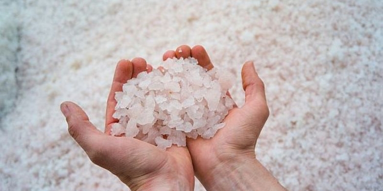 Николаевские коммунальщики запаслись  на зиму солью у фирмы с учредителем из ЛНР