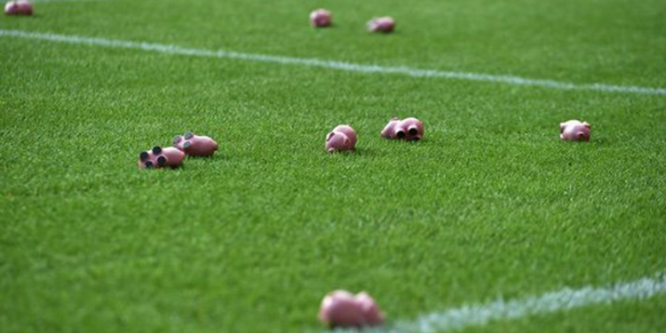 Фанаты выкинули на поле сотни свиней и сорвали футбольный матч