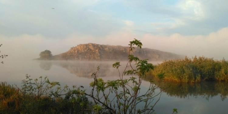 Километровая сеть, 43 кг толстолоба – Николаеврыбоохрана рассказала о задержанных браконьерах