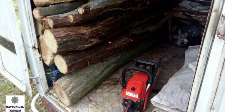 «Все вокруг народное, все вокруг мое?»: в урочище в Корабельном районе Николаева мужчина пилил деревья