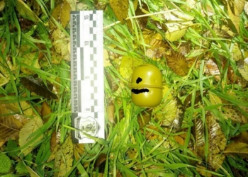 На прогулке с собакой никогда не знаешь, что найдешь. В Николаеве, например, нашли гранату