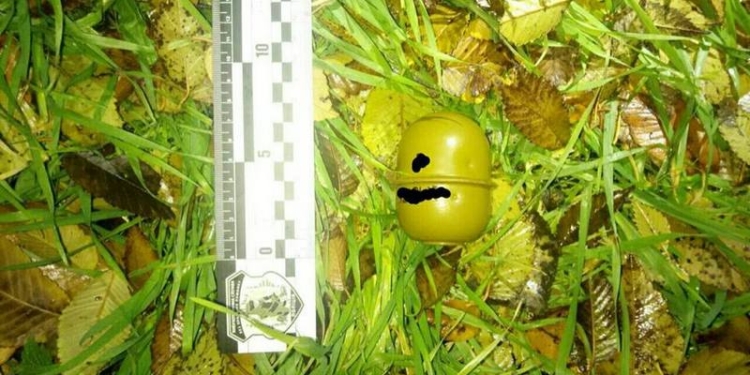 На прогулке с собакой никогда не знаешь, что найдешь. В Николаеве, например, нашли гранату