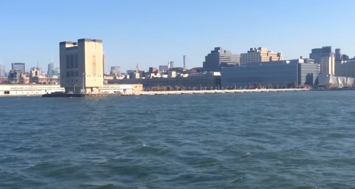 В Нью-Йорк заплыл кит. Береговая охрана обеспечила ему эскорт