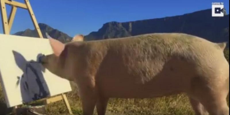 Это, конечно, не Пикассо – это Пигассо