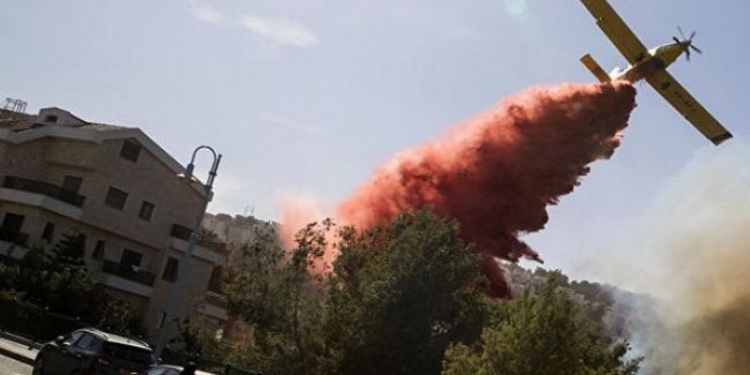 Новых очагов возгорания нет: в Израиле справились с лесными пожарами