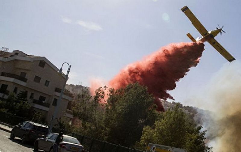 Пожары в Израиле ликвидированы, украинские самолеты возвращаются домой 1