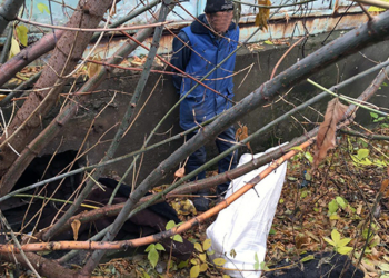 В Николаеве вор вынес из магазина спиртного на 4 тыс.грн. Обещал поделиться с друзьями