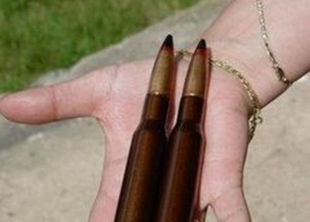 В Кривоозерском районе мужчина нашел 6 крупнокалиберных пулеметных патронов
