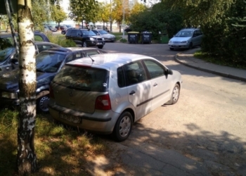 Месяц ночевал в машине: белорус поймал бабушку-хулиганку, которая царапала его авто