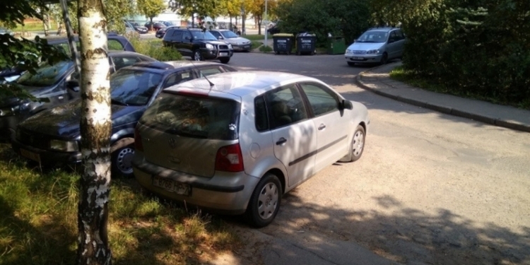 Месяц ночевал в машине: белорус поймал бабушку-хулиганку, которая царапала его авто