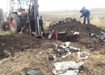 “Год назад уехал на заработки”, – сказала жена полиции, но останки пропавшего нашли в дворовом туалете