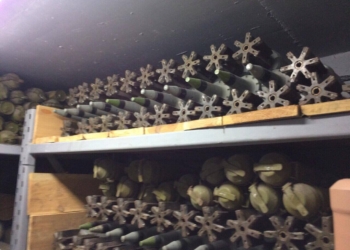 БТР, ракеты для “Града”, заряды к ПЗРК…В пригороде Киева обнаружен бункер, набитый оружием