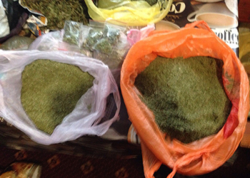 У жителя Николаевщины изъяли 10 кг марихуаны на 600 тыс.грн.