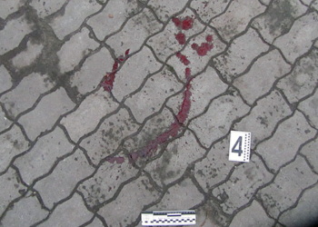 Поножовщина в ночном клубе Николаева: так выясняли отношения две группы «отдыхающих»