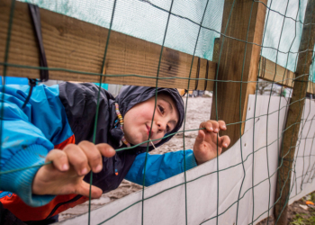 Полторы тысячи брошенных мигрантами детей из стихийного лагеря «Джунгли» власти Франции начали расселять в центры приема беженцев