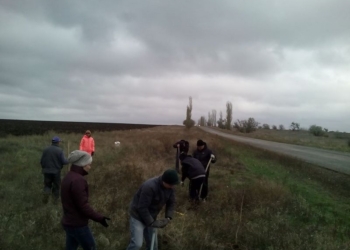 Чтобы дорогу на Матвеевку не заметало зимой: неравнодушные николаевцы высадили 60 саженцев