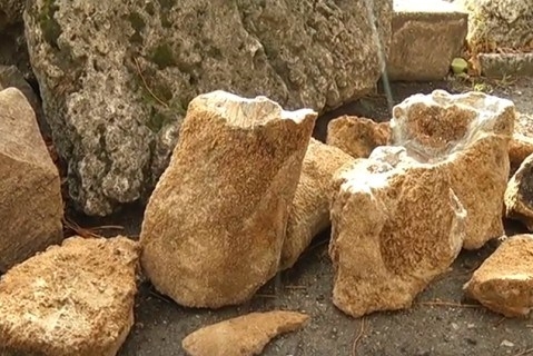 У мамонтов тоже были предки – в Мариуполе нашли останки древнего южного слона