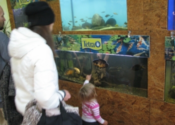 И обмен опытом, и соревнование: в Николаеве состоялся открытый конкурс юных аквариумистов