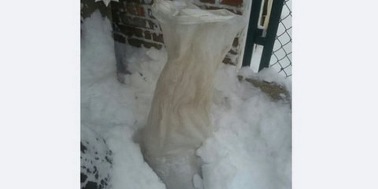 Янтарная республика: в Ровно оставили на улице мешок с 14 кг «добычи»