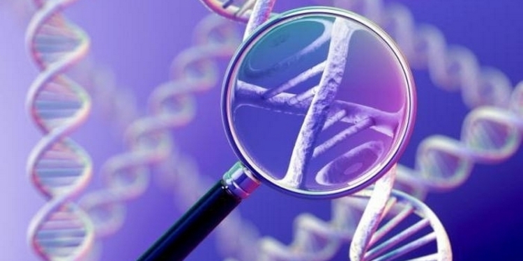 Около 35 миллионов человек имеют опасный ген, который приводит к смертельной болезни сердца, – учёные