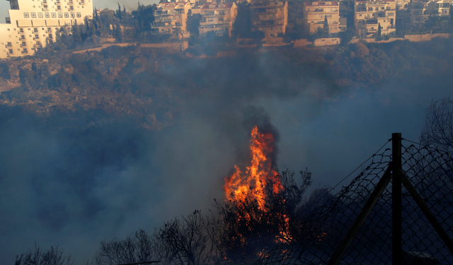 В Израиле в Хайфе вспыхнули сильные пожары: 75 тысяч эвакуированных. Власти заявили о поджогах