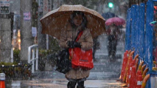 В Японии выпал снег. Впервые за 50 лет в это время 4