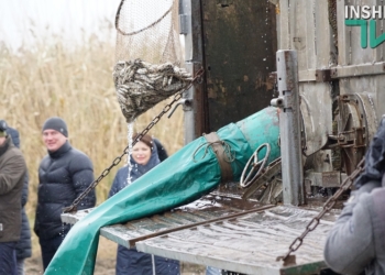 Рыбе в реке быть! «НИБУЛОН» выпустил в Южный Буг 152 тысячи мальков