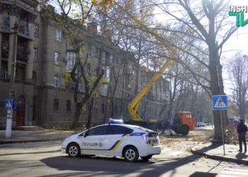 В Николаеве полиция перекрыла улицу Декабристов – горноспасатели ГСЧС пилят деревья