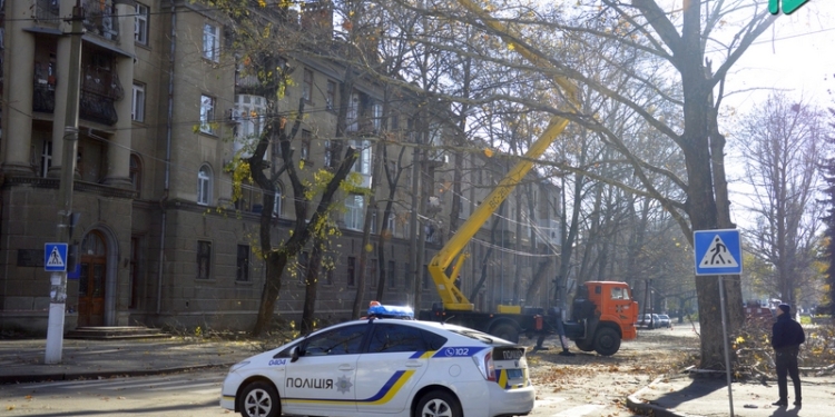 В Николаеве полиция перекрыла улицу Декабристов – горноспасатели ГСЧС пилят деревья