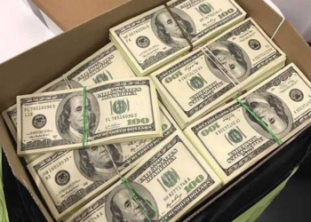 Иностранные карантинные организации жалуются на украинских экспортеров зерна