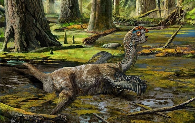 В Австралии найдены останки самого крупного динозавра 1