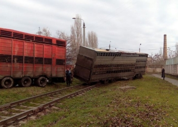 В Николаеве грузовик с коровами не уступил дорогу товарному поезду