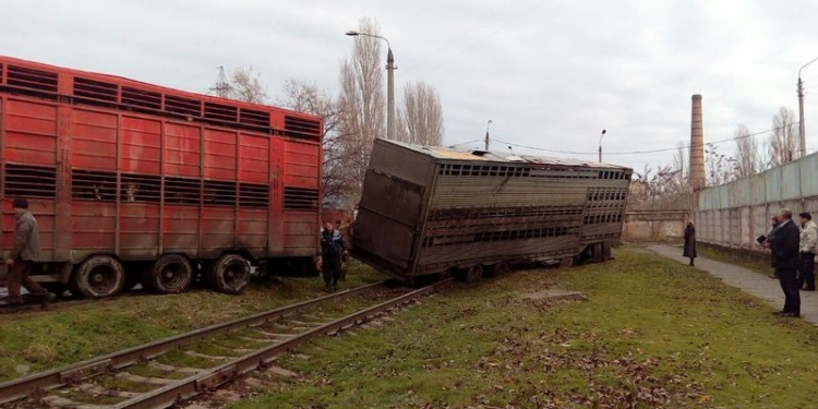 В Николаеве грузовик с коровами не уступил дорогу товарному поезду