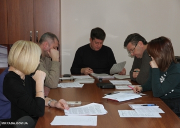 Николаевские школы массово сдают помещения в аренду частным обучающим курсам – депутаты против