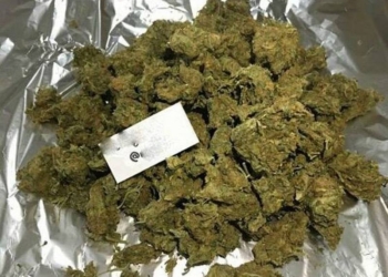 В Николаеве аферист выдавал себя за наркодилера