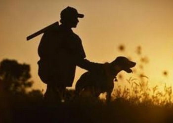 Депутаты Николаевского облсовета выделили в пользование охотничьи угодья в Баштанском и Новоодесском районах