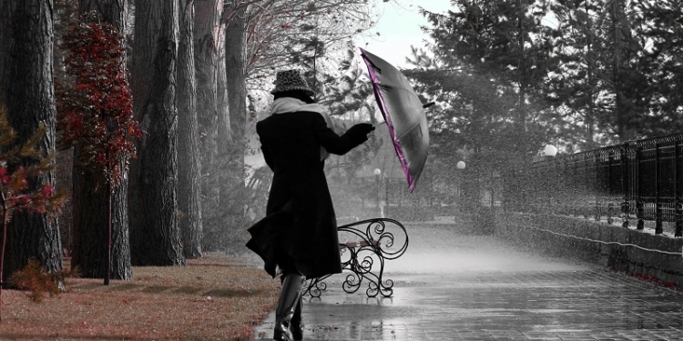 Что такое не везет. Пусть и ваши неприятности будут такими