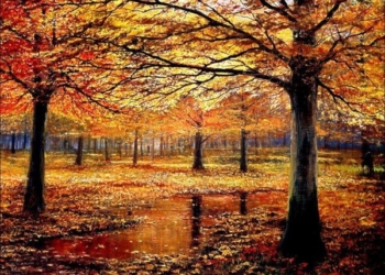 А в Тернополе переработанные опавшие листья предлагают частникам и дачникам в качестве компоста