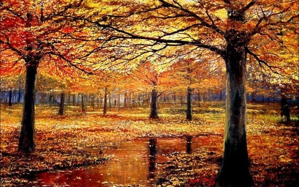 А в Тернополе переработанные опавшие листья предлагают частникам и дачникам в качестве компоста