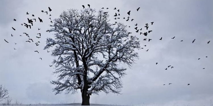 Завтра и послезавтра большую часть Украины накроет снегом, а в Николаевской области осадков не ожидают