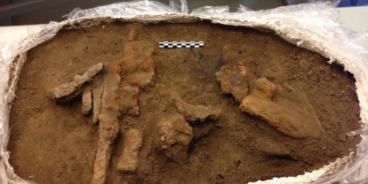 Тысячелетние сверла и другие инструменты древних викингов нашли в Дании