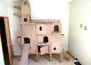 Любителям кошек на заметку: что можно сделать из обычных картонных коробок, чтобы ваша кошка была счастлива