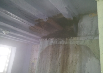 Экологично, но пожароопасно: в Баштанском районе загорелась камышовая крыша жилого дома