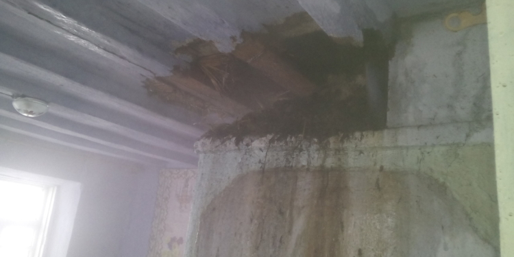 Экологично, но пожароопасно: в Баштанском районе загорелась камышовая крыша жилого дома