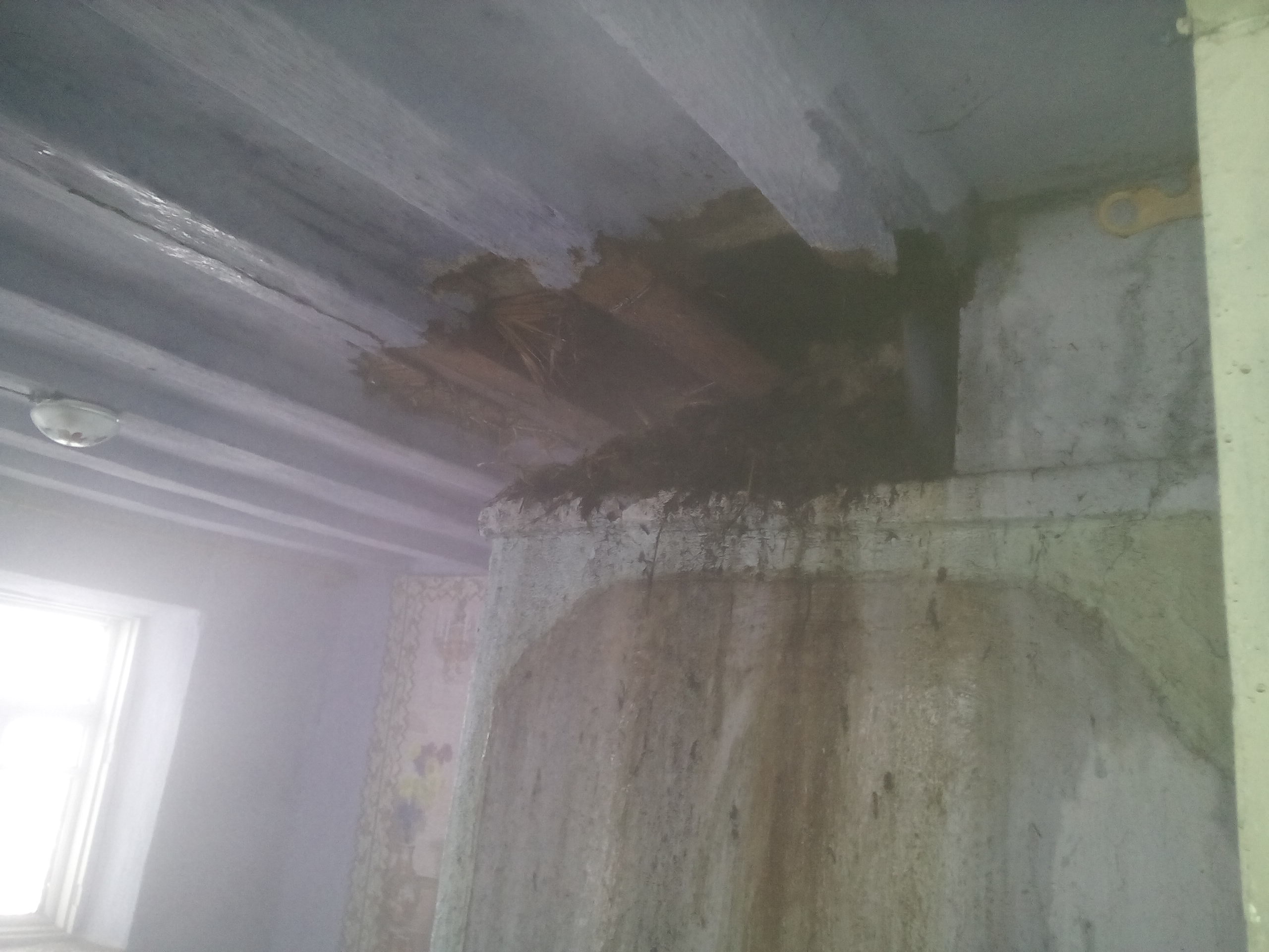 Экологично, но пожароопасно: в Баштанском районе загорелась камышовая крыша жилого дома